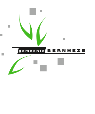 Logo gemeente Bernheze