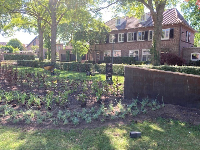 gras met planten in perkje in Heesch
