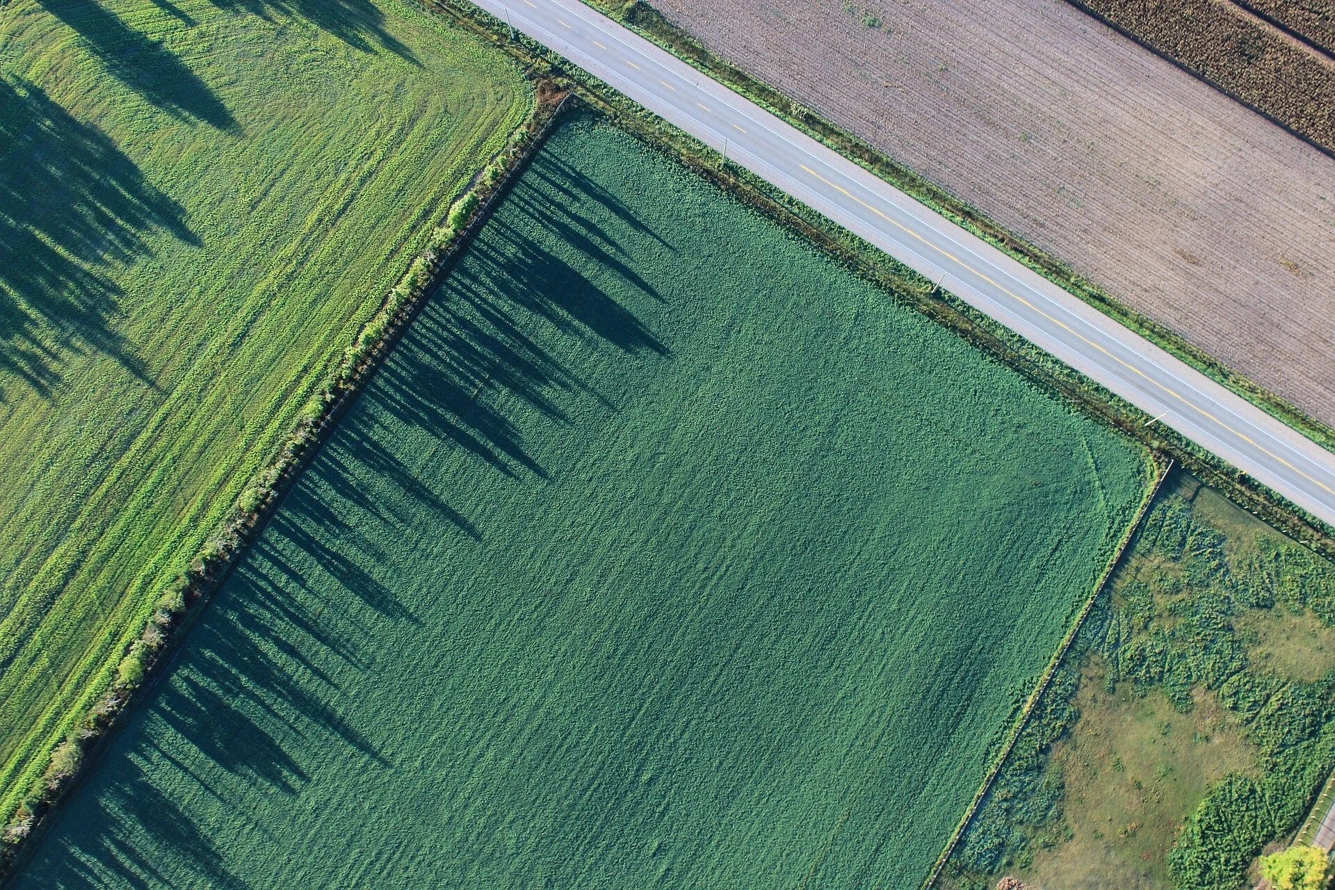 Gemeente Bernheze start met vrijwillige kavelruil
