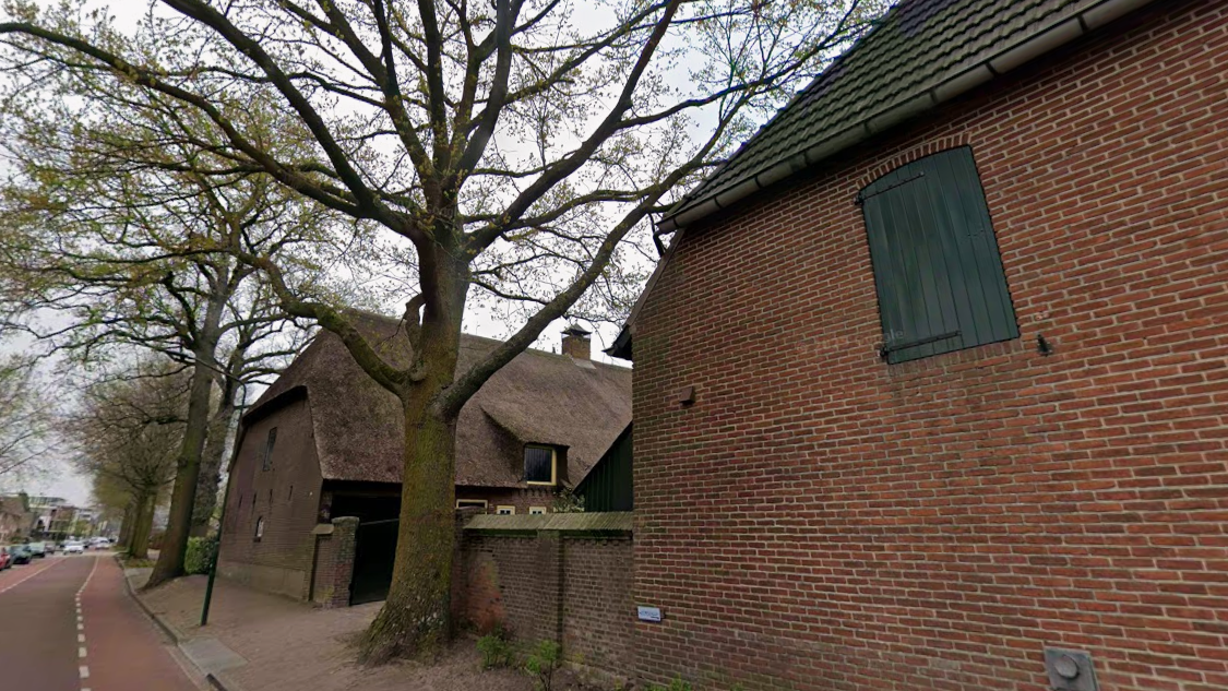 Kapvergunning aangevraagd voor monumentale boom Schoonstraat